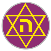 #1172 – Hakoah Amidar Ramat Gan :&nbsp;הסגולים